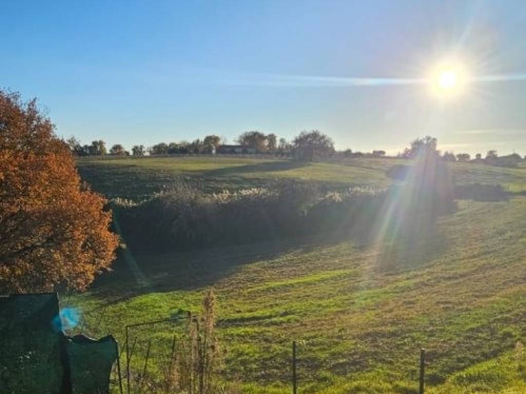 terreno agricolo in vendita a Colle di Val d'Elsa in zona Le grazie