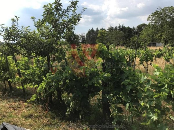terreno agricolo a Colle di Val d'Elsa in zona Montecchio / Borgatello