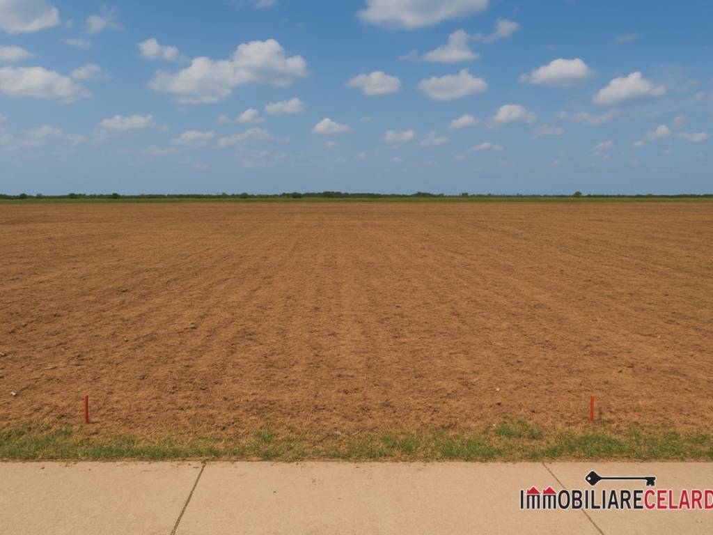 terreno agricolo in vendita a Colle di Val d'Elsa