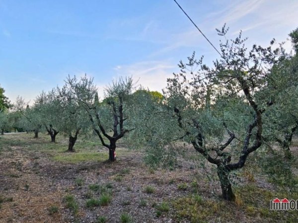 terreno agricolo in vendita a Colle di Val d'Elsa