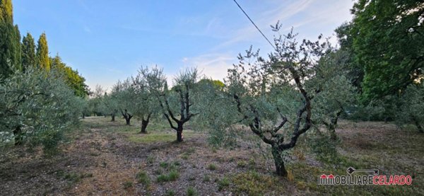 appartamento in vendita a Colle di Val d'Elsa
