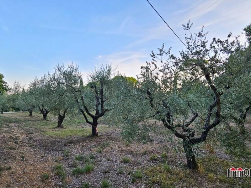 terreno agricolo in vendita a Colle di Val d'Elsa