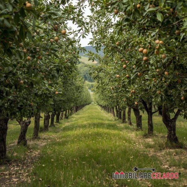 appartamento in vendita a Colle di Val d'Elsa in zona Le grazie