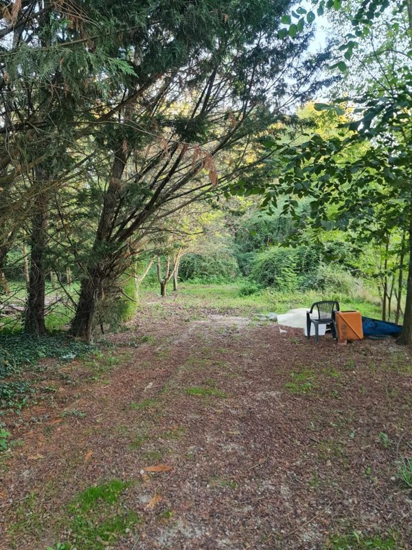terreno agricolo in vendita a Colle di Val d'Elsa