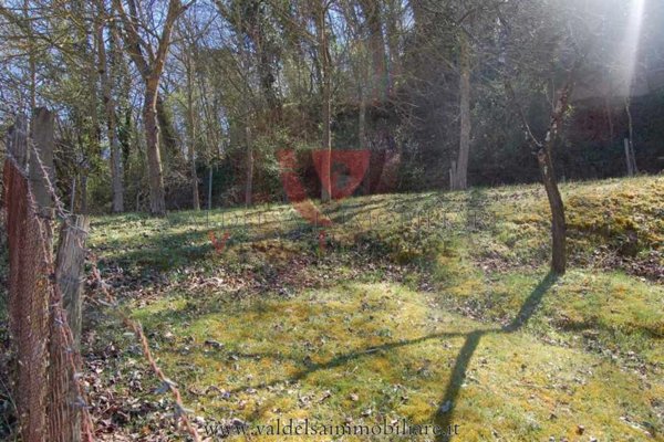 terreno agricolo in vendita a Colle di Val d'Elsa