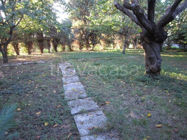 casa indipendente in vendita a Colle di Val d'Elsa