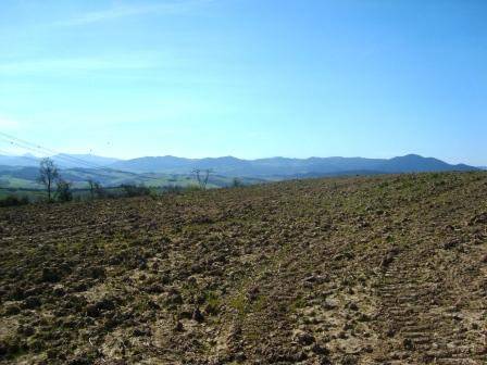 terreno agricolo in vendita a Colle di Val d'Elsa