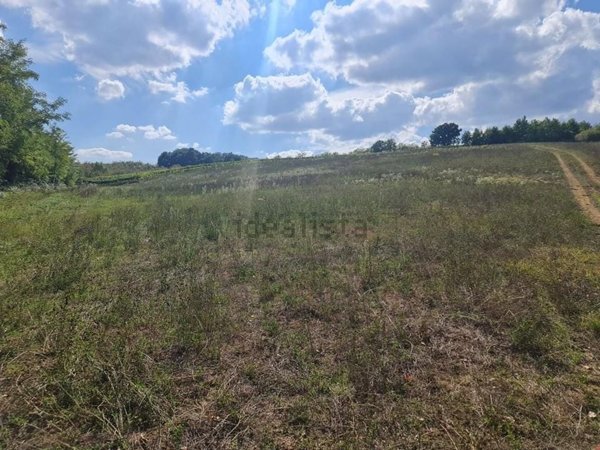 terreno agricolo in vendita a Colle di Val d'Elsa