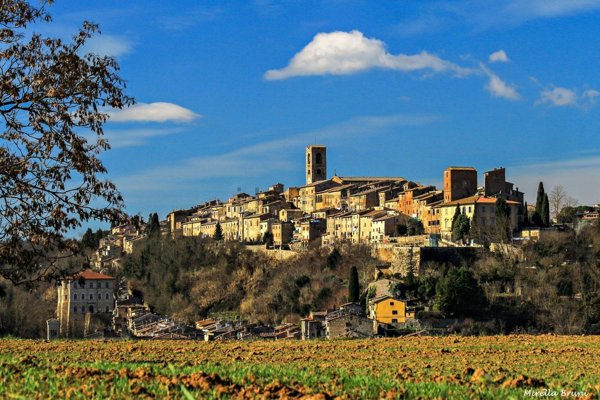 negozio in vendita a Colle di Val d'Elsa