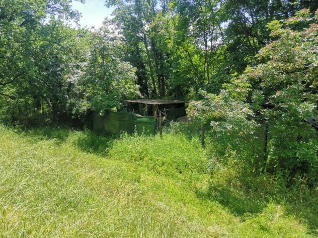 terreno agricolo in vendita a Colle di Val d'Elsa