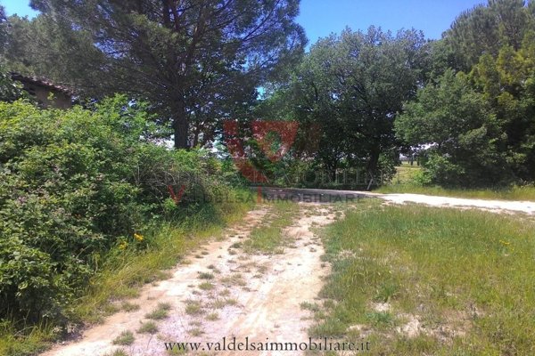 terreno agricolo in vendita a Colle di Val d'Elsa