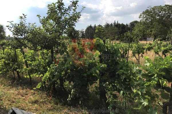 terreno agricolo a Colle di Val d'Elsa in zona Montecchio / Borgatello
