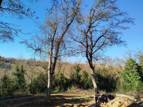 casa indipendente in vendita a Colle di Val d'Elsa