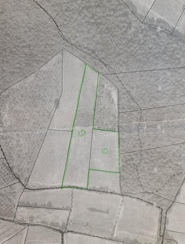 terreno agricolo in vendita a Colle di Val d'Elsa