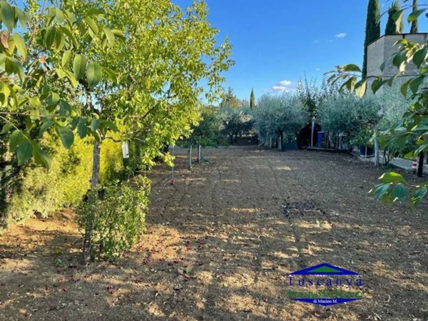 terreno agricolo in vendita a Colle di Val d'Elsa