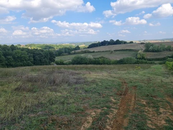 terreno agricolo in vendita a Colle di Val d'Elsa