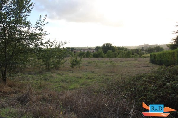 terreno agricolo in vendita a Colle di Val d'Elsa
