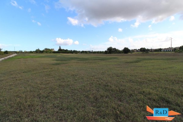terreno agricolo in vendita a Colle di Val d'Elsa