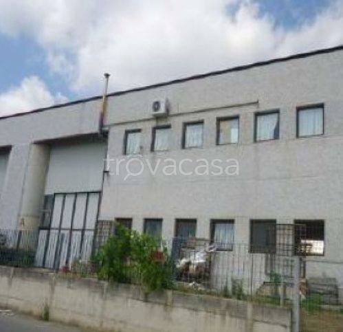 negozio in vendita a Colle di Val d'Elsa