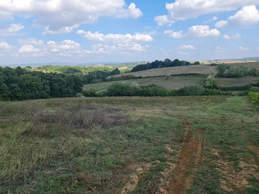 terreno agricolo in vendita a Colle di Val d'Elsa