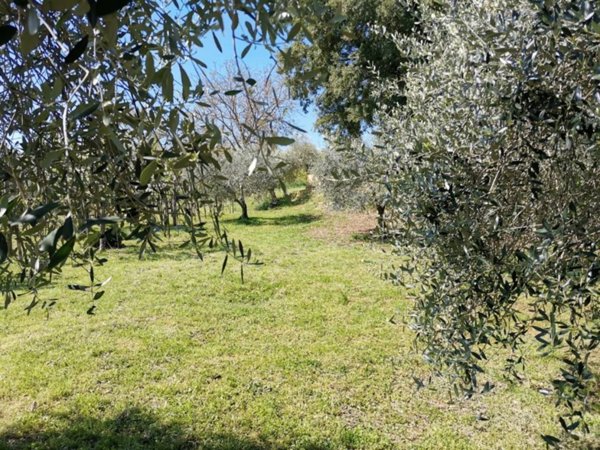 casa indipendente in vendita a Colle di Val d'Elsa in zona Le grazie