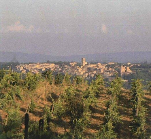 azienda agricola in vendita a Colle di Val d'Elsa