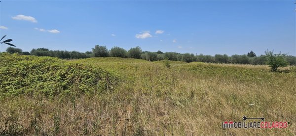 terreno agricolo in vendita a Colle di Val d'Elsa in zona Le grazie
