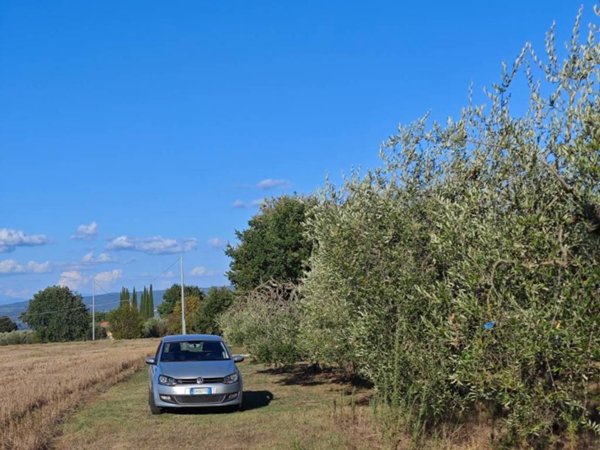 terreno in vendita a Colle di Val d'Elsa