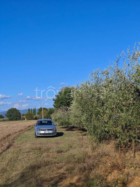 terreno in vendita a Colle di Val d'Elsa
