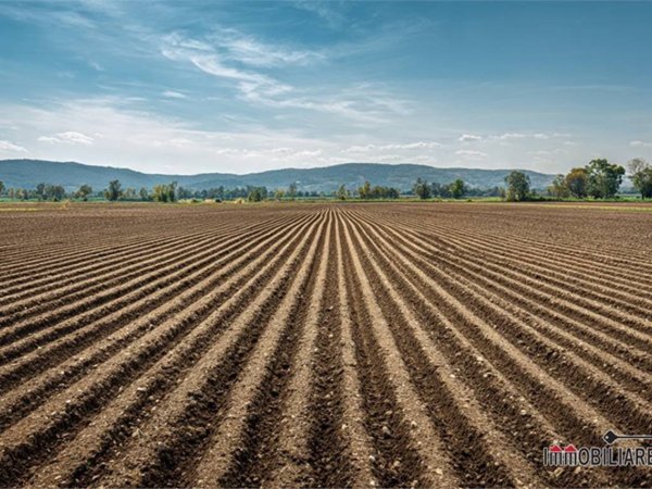 terreno in vendita a Colle di Val d'Elsa in zona Selvamaggio