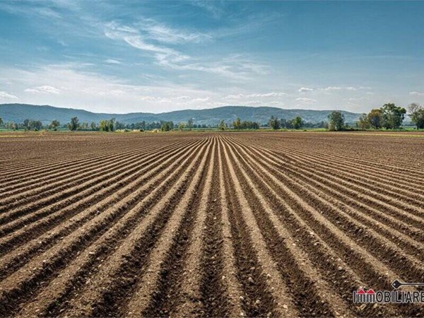 terreno in vendita a Colle di Val d'Elsa