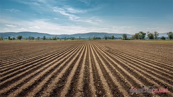 terreno in vendita a Colle di Val d'Elsa in zona Selvamaggio