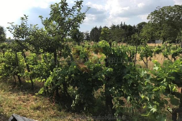 terreno in vendita a Colle di Val d'Elsa
