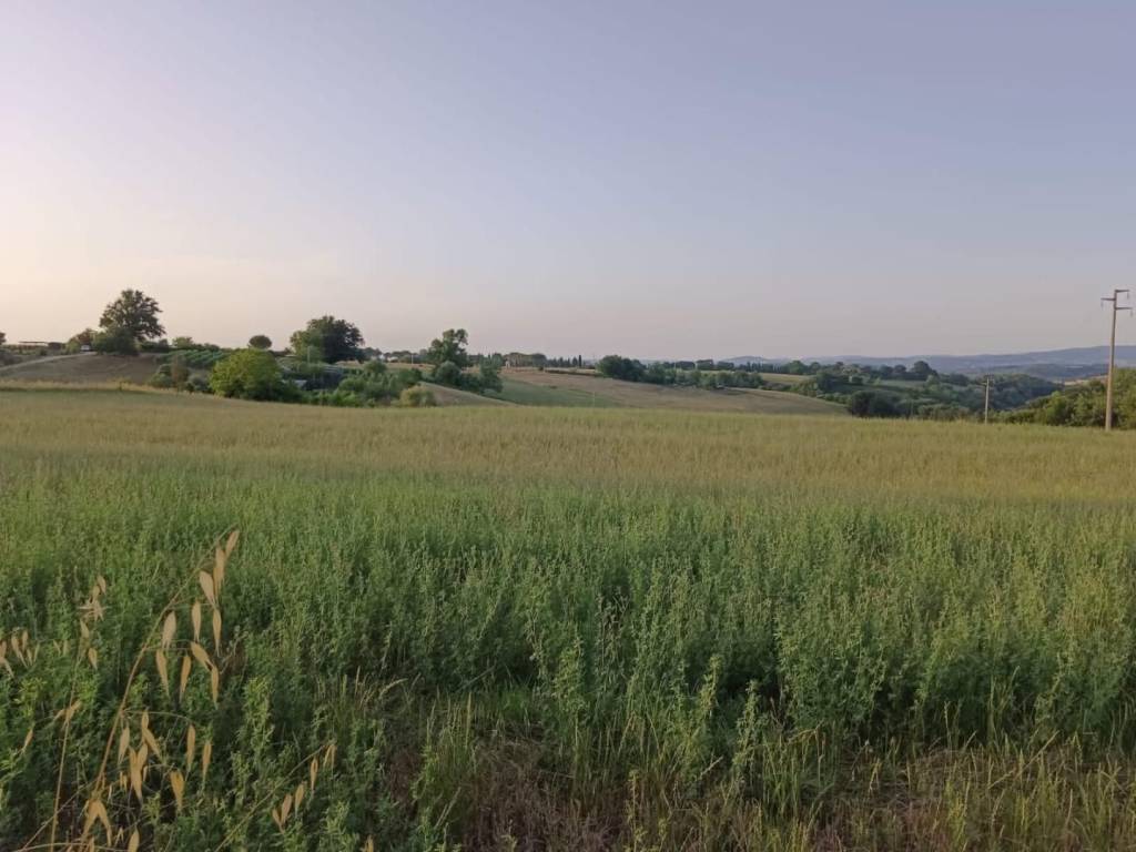terreno in vendita a Colle di Val d'Elsa