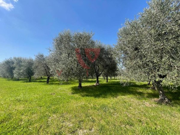 terreno in vendita a Colle di Val d'Elsa in zona Montecchio / Borgatello