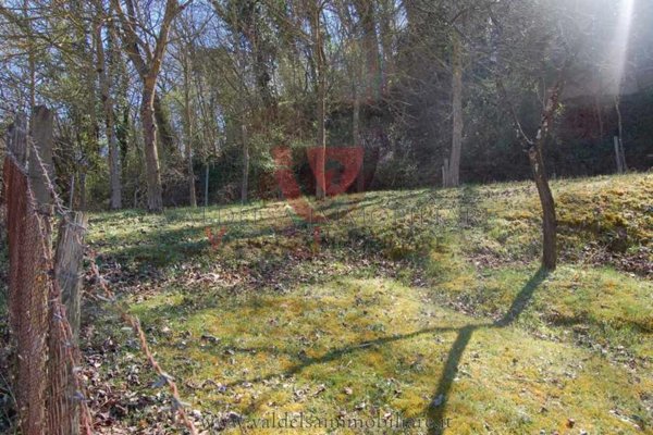 terreno agricolo in vendita a Colle di Val d'Elsa