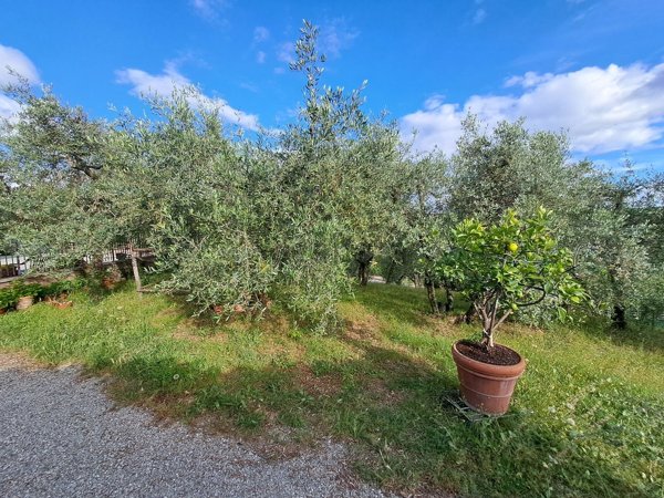 appartamento in vendita a Gaiole in Chianti in zona San Regolo