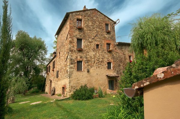 esavano in vendita a Gaiole in Chianti