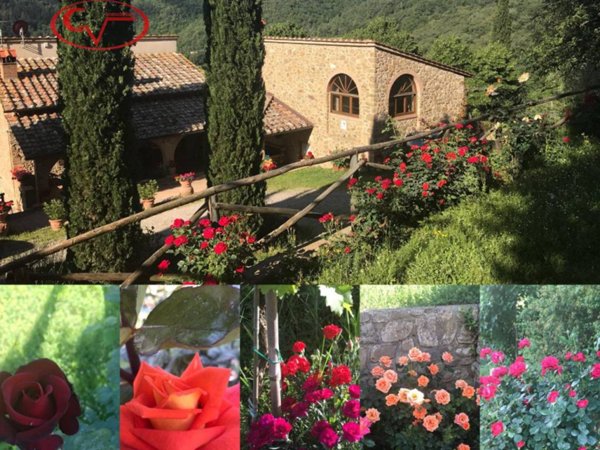 casa indipendente in vendita a Gaiole in Chianti in zona Starda