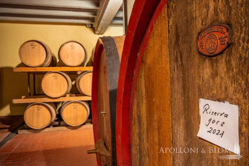 azienda agricola in vendita a Gaiole in Chianti