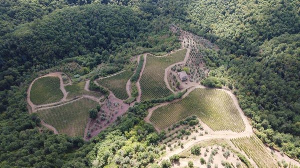 azienda agricola in vendita a Gaiole in Chianti