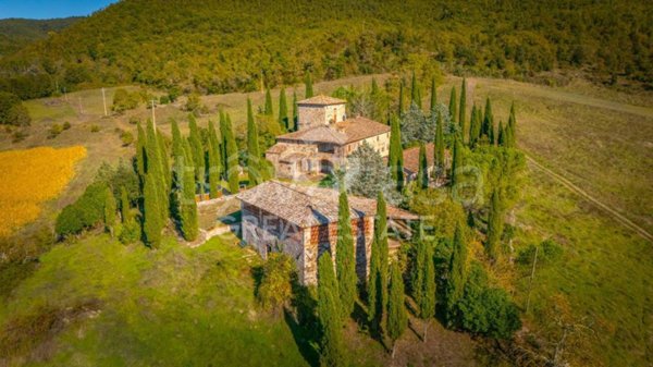 immagine annuncio 0 di 15