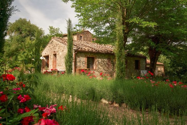 esavano in vendita a Gaiole in Chianti