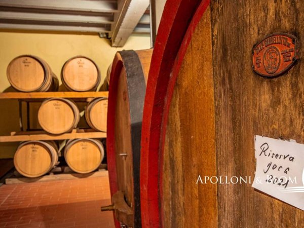 casa indipendente in vendita a Gaiole in Chianti