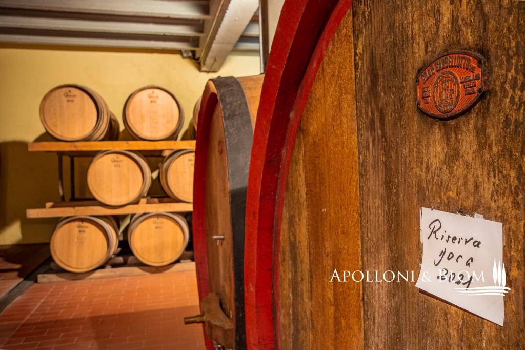 locale di sgombero in vendita a Gaiole in Chianti