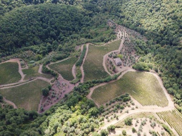 locale di sgombero in vendita a Gaiole in Chianti