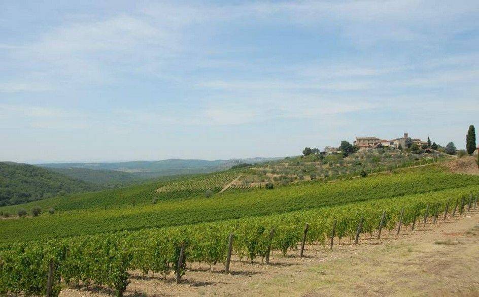 azienda agricola in vendita a Gaiole in Chianti in zona Badia a Coltibuono