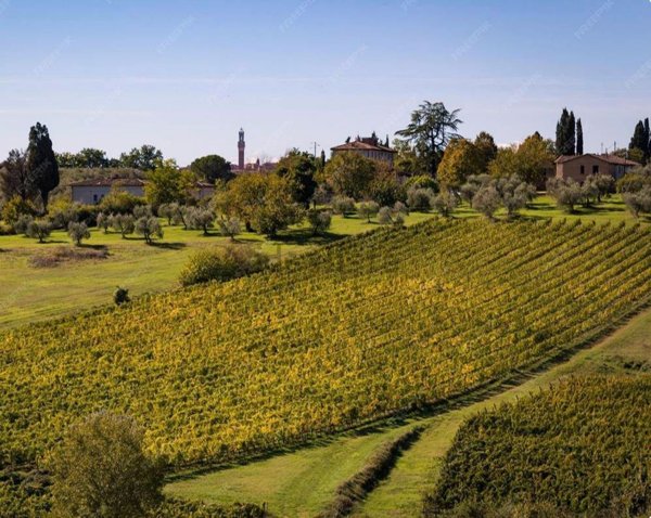 villa in vendita a Gaiole in Chianti in zona Badia a Coltibuono