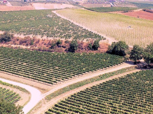 casa indipendente in vendita a Montepulciano