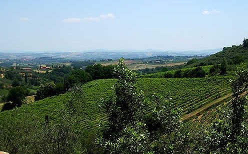 azienda agricola in vendita a Montepulciano